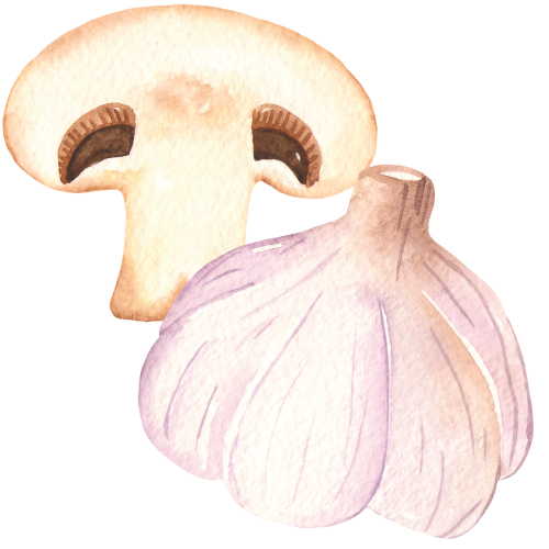 Watercolor of a mushroom and garlic